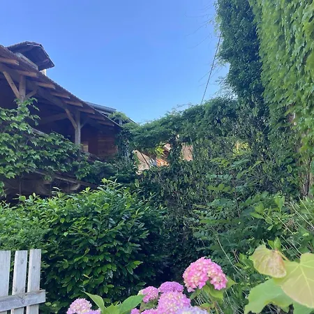 Murmure De La Forêt Casa de hóspedes Bains-les-Bains