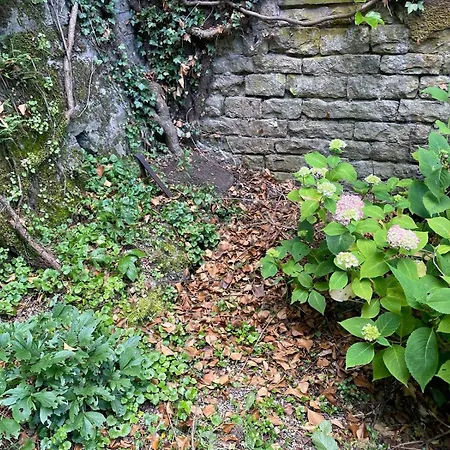 Murmure De La Forêt Bains-les-Bains