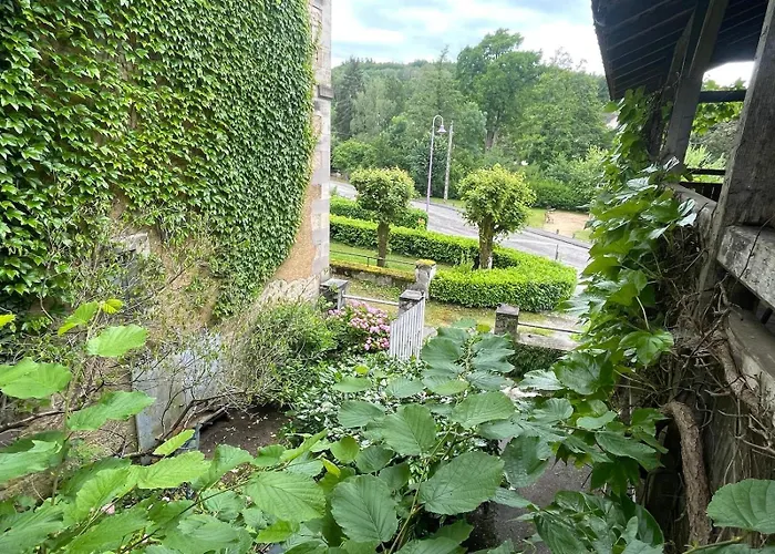 Murmure De La Foret Bains-les-Bains