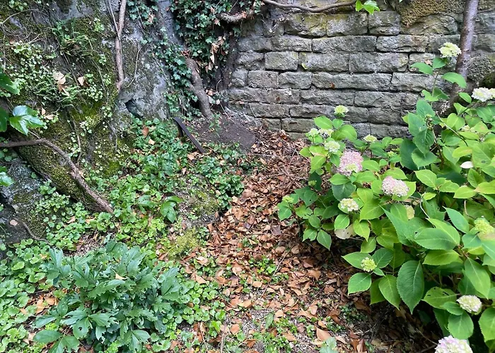 Murmure De La Foret Bains-les-Bains